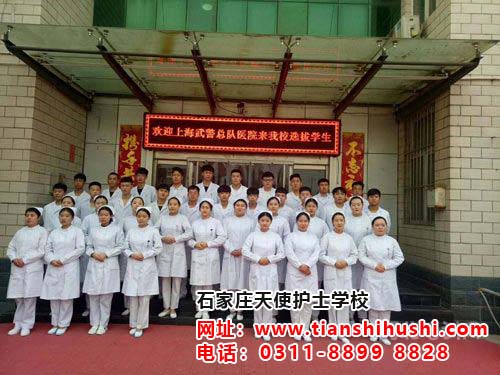 石家庄天使护士学校实习生（上海武警总队医院） 学校图片