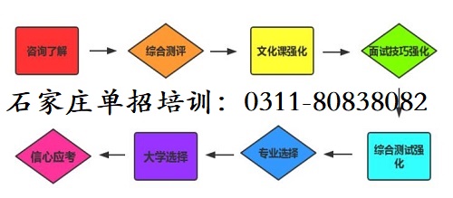 石家庄单招培训流程
