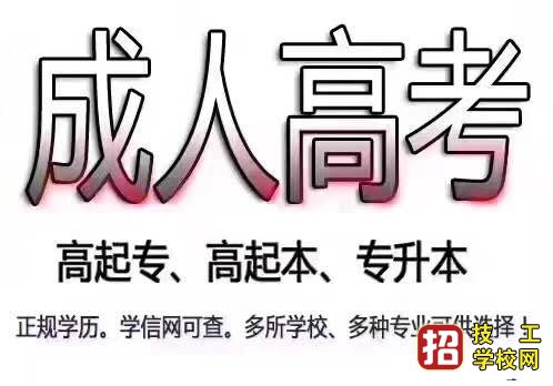 成考专升本民法考试题型及分值分布