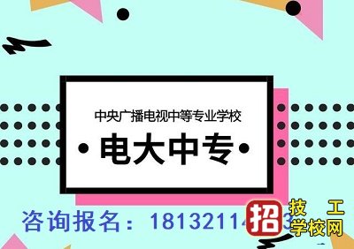 电大中专报哪个专业好