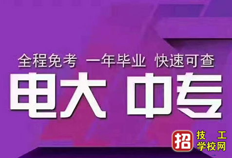 一年制的电大中专学费多少钱？