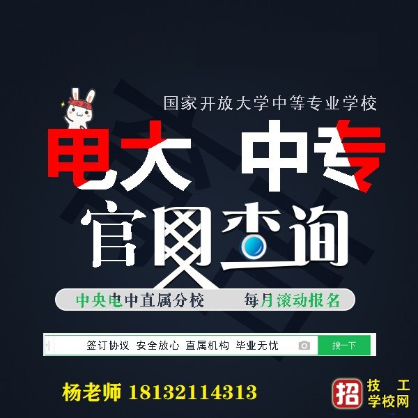 电大中专一年制报什么专业好